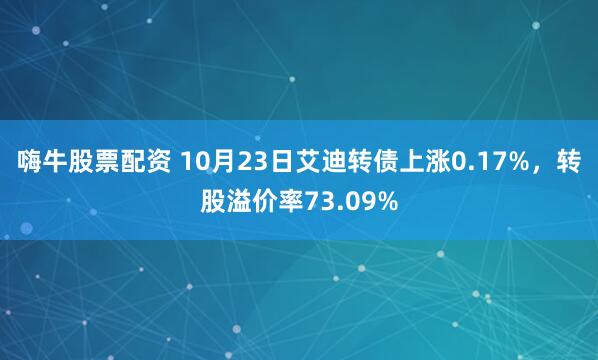 嗨牛股票配资 10月23日艾迪转债上涨0.17%，转股溢价率73.09%